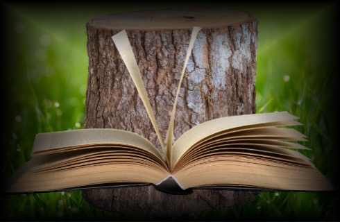 Collage avec un tronc d'arbre et un livre ouvert, pour représenter le socle narratif